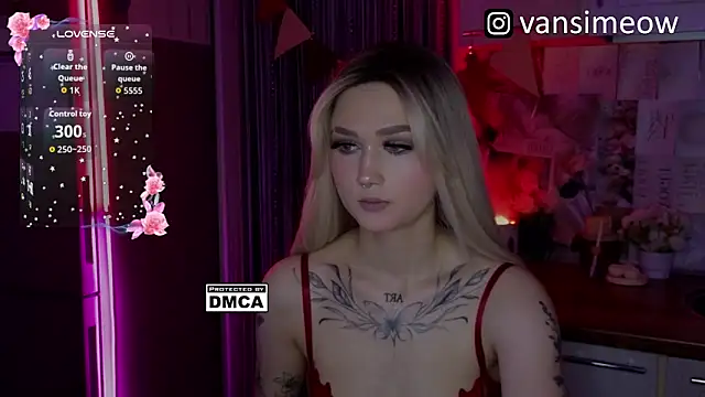 โชว์เว็บแคมของ vanxli