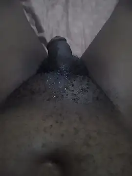 174Pn Webbikameraesitys