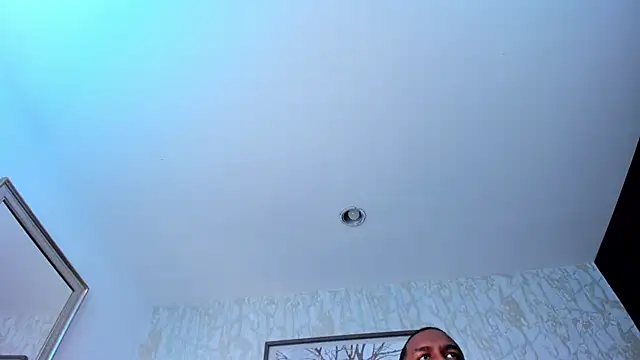 Lander_Cruzn Webbikameraesitys