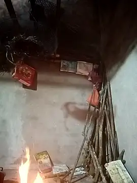 nangmo 网络视讯表演