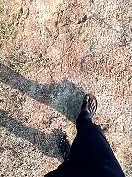 Вебкам-шоу dolphiinn