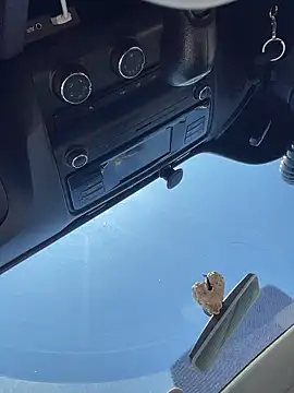 MerlinDave 现场XXX聊天