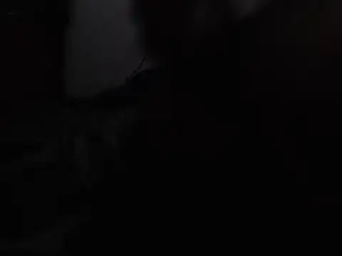 bull_blackponse 网络视讯表演