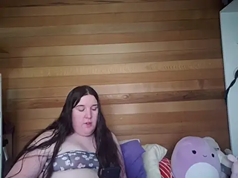 SoftIonen Webbikameraesitys