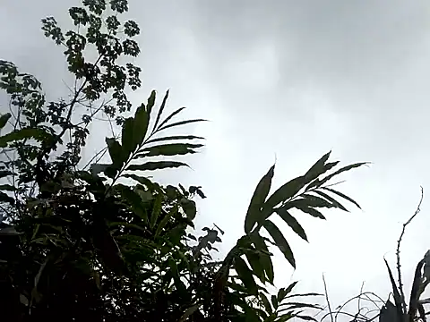 nat-tri's Live XXX Chat