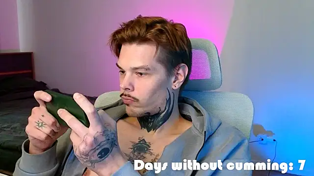 DENIS_HERE Show in webcam