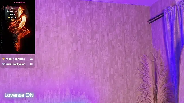 Show Webcam de pixy_20