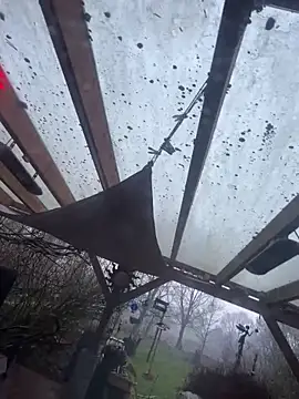 savageebny – Live XXX-chat