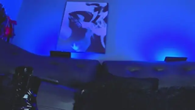 Amberstones Webcam-Show