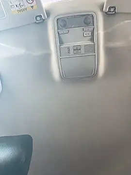 MerlinDave 即時 XXX 聊天