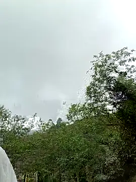 Živý XXX chat nat-tri