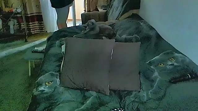 XXX chat uživo modela sex2