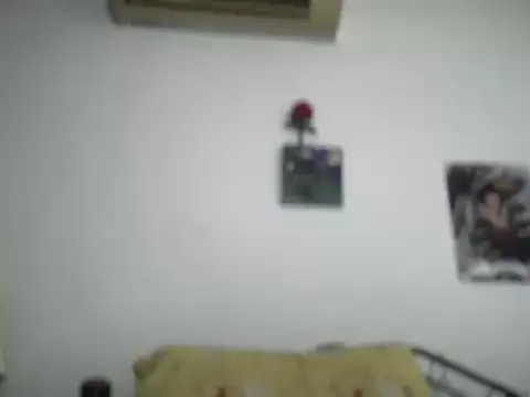 Antonia-bloom Chat XXX live