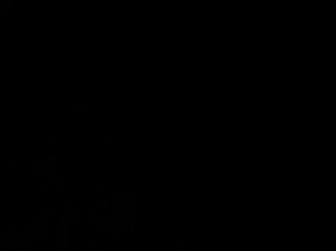 Show modela prekumstud na web-kameri