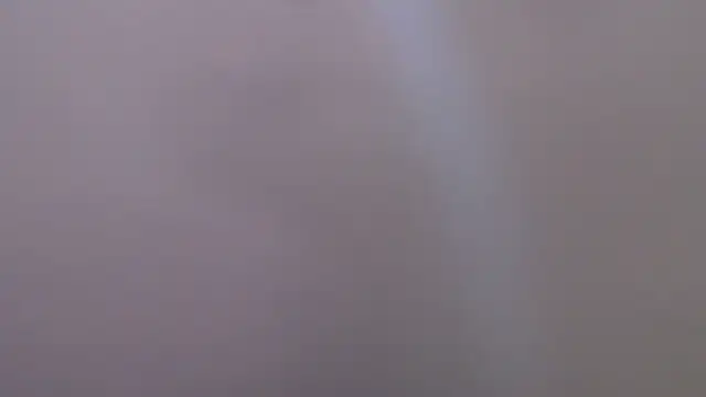 Show webcam de florida0217