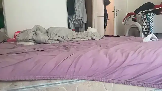 kotkite webkamerás műsora