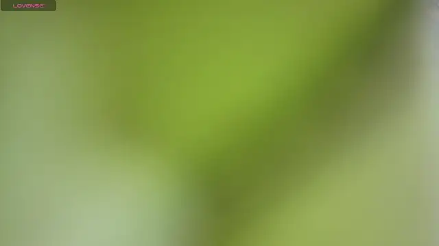 ELL_PBC লাইভ XXX চ্যাট