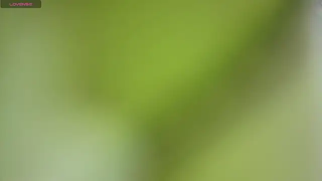 Chat XXX ao vivo de ELL_PBC