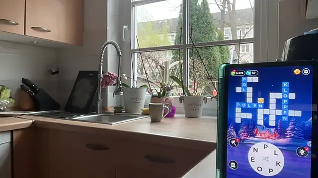 s-te-fan-i webcam show