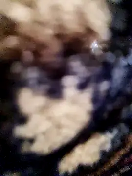 crazyxy12: διαδικτυακό σόου στην κάμερα