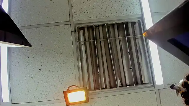 Aisha_hotts777 – Live XXX-chat