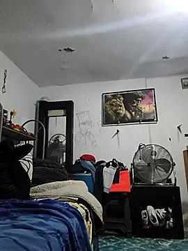 Ferxxxo1503 Webcam-Show