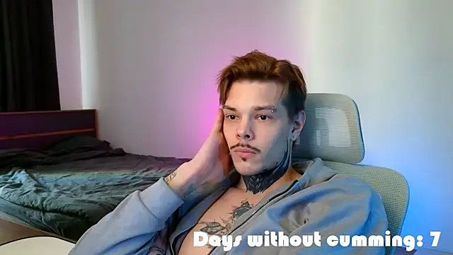 DENIS_HEREn Webbikameraesitys