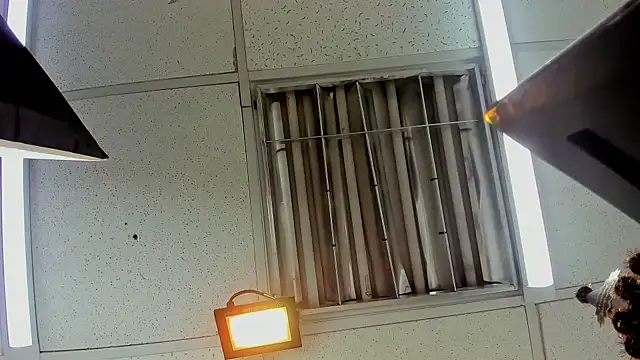 Aisha_hotts777 라이브 XXX 채팅