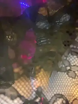 Chat +18 de Terra_moonlight ao vivo