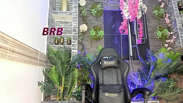 Show webcam de Rpoolrboy