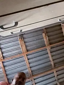 Black_sex- 网络视讯表演