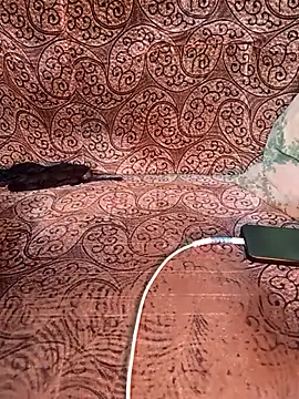 Sexyy_Alex__ Adlı Modelin Canlı XXX Sohbeti