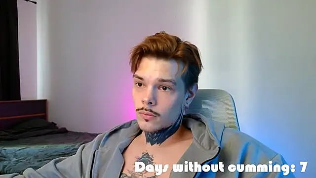 DENIS_HEREのウェブカメラショー