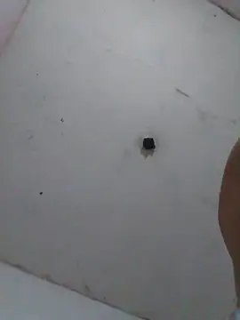 cobrosdepagos Live XXX-Chat