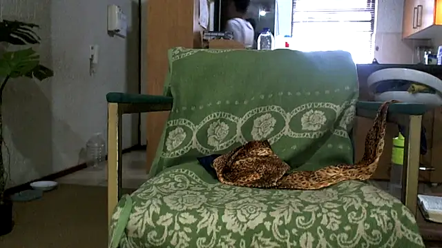 Chatroom XXX en direct de NewBeginnings8