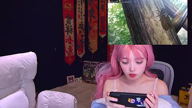 Show de webcam de Wik-yibao