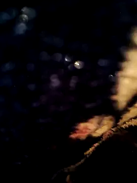 Webkamerová show crazyxy12