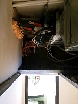 guardian_angel1991 Webcam show