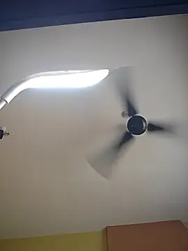 Kajal2026 – Live XXX-chat