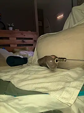 ROUSSH Chat XXX in diretta