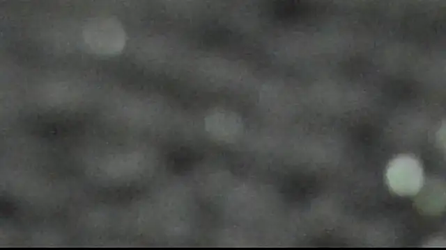 KurvyKandie – Live XXX-chat