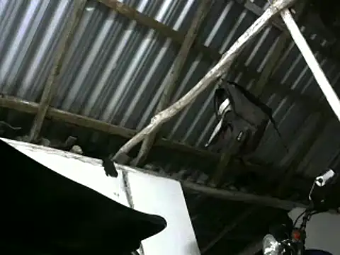 michel_sc's Live XXX Chat