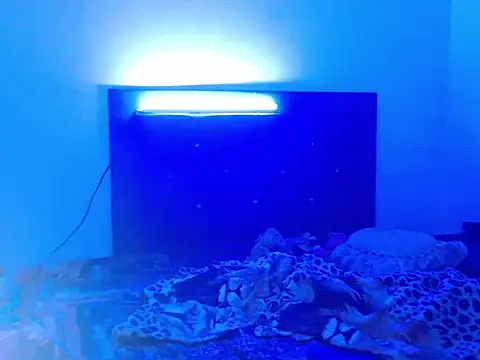 Show webcam de cellesthee