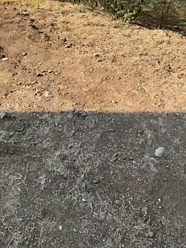 Miss__Malaika 网络视讯表演