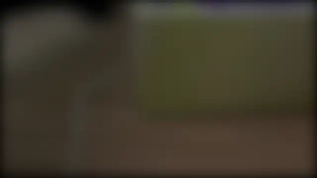 adelaide2026 Pertunjukan Webcam