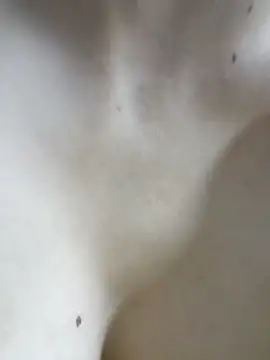 PUNAM456: απευθείας συνομιλία ΧΧΧ