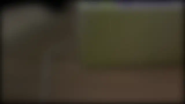 adelaide2026 webcam show