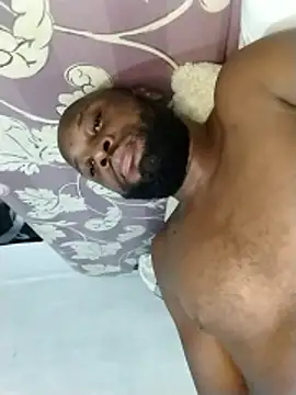 Stallion100 – Live XXX-chat