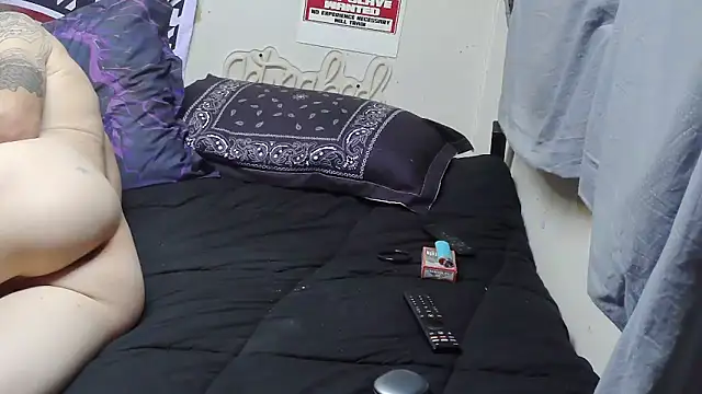 Show webcam de Spotless_Load