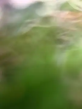 عرض كام Sert_erkek21_ysm